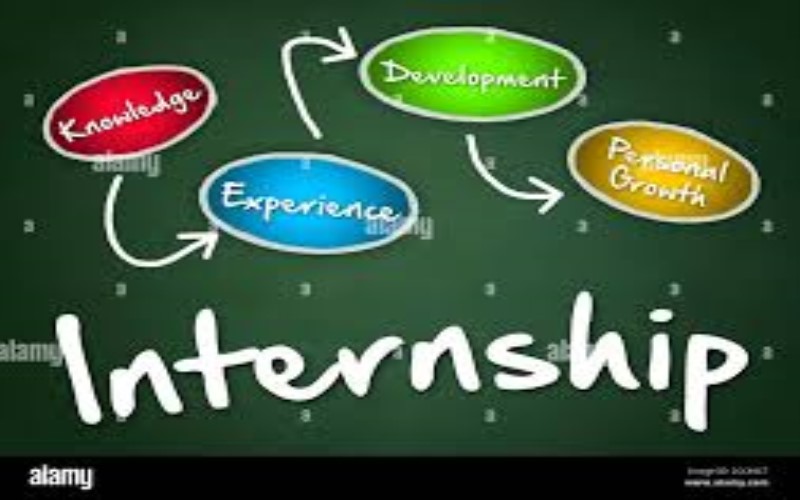 How Internships Can Influence Career Success and Personal Growth