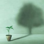 The Art of Saying No: Why It’s Essential for Your Mental Health